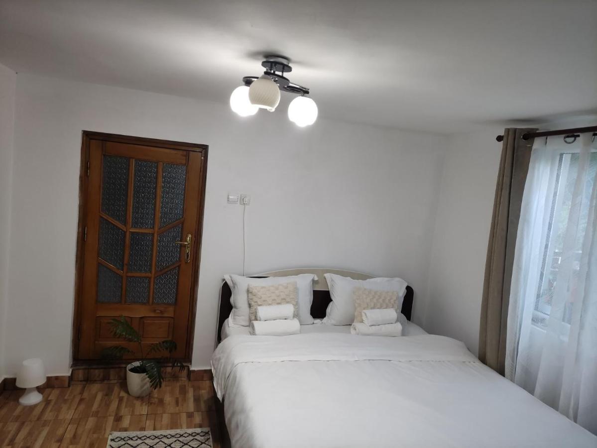 Casa Carbunaru Tîrgu Ocna Exteriör bild