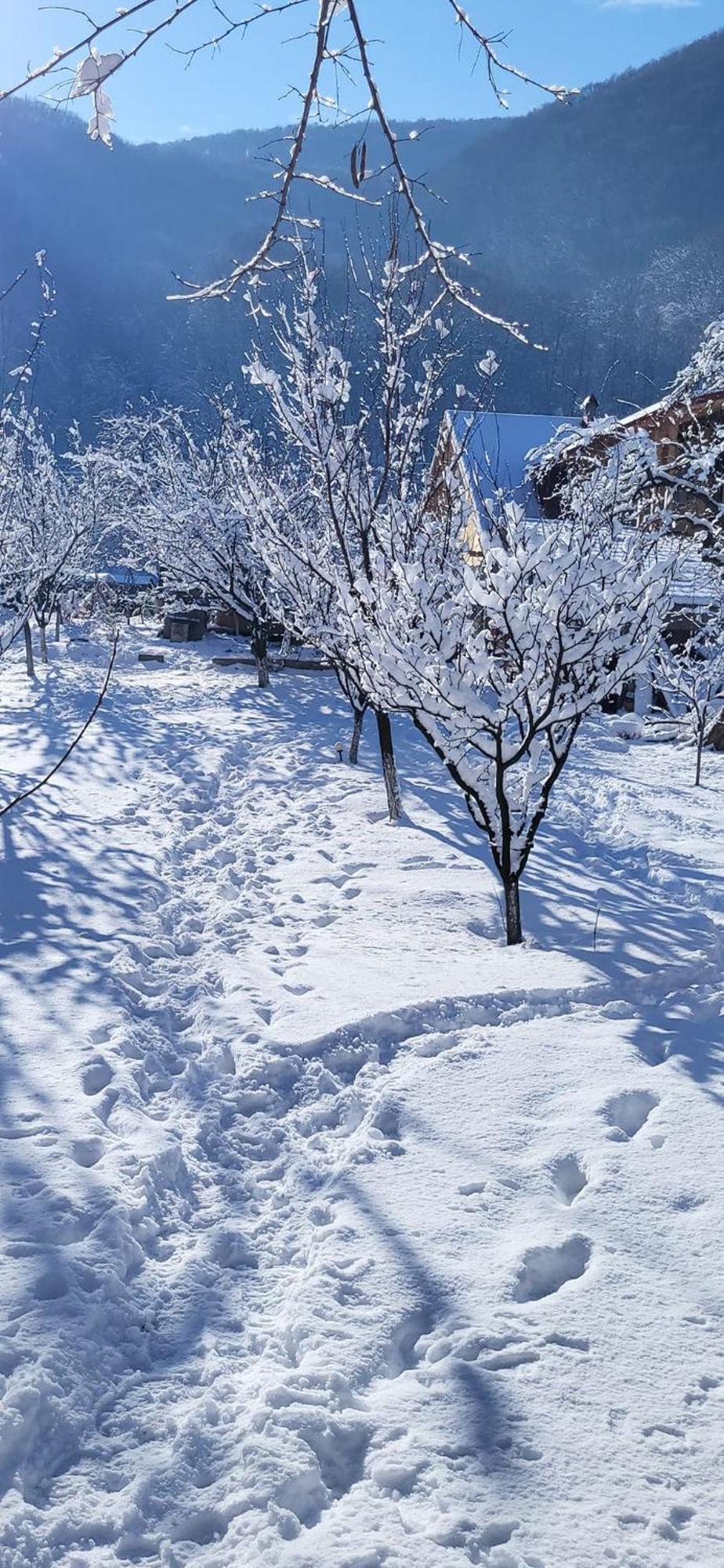 Casa Carbunaru Tîrgu Ocna Exteriör bild