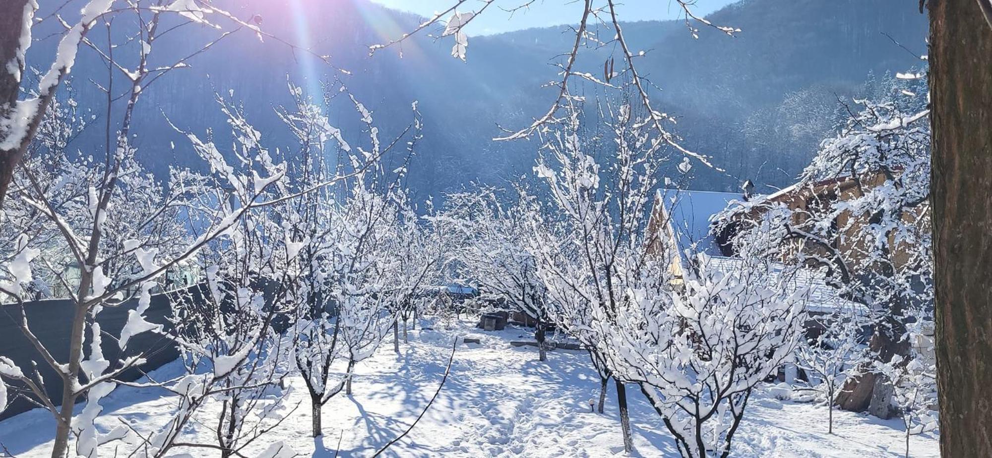 Casa Carbunaru Tîrgu Ocna Exteriör bild