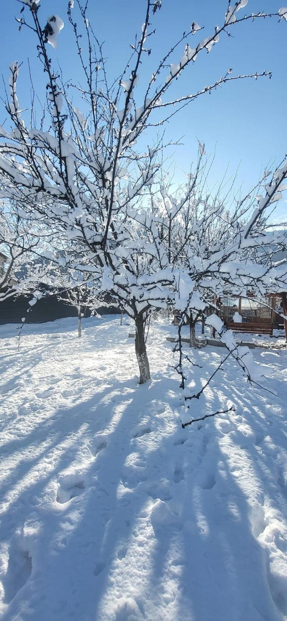 Casa Carbunaru Tîrgu Ocna Exteriör bild