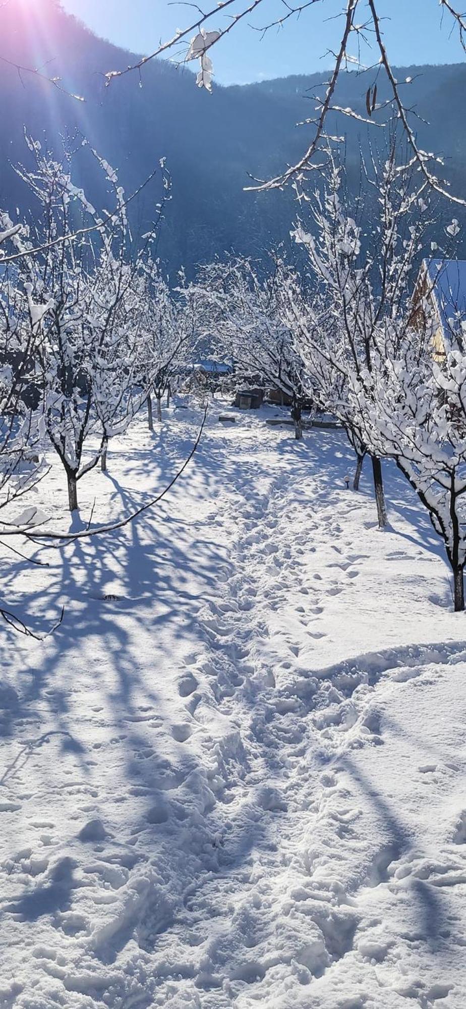 Casa Carbunaru Tîrgu Ocna Exteriör bild