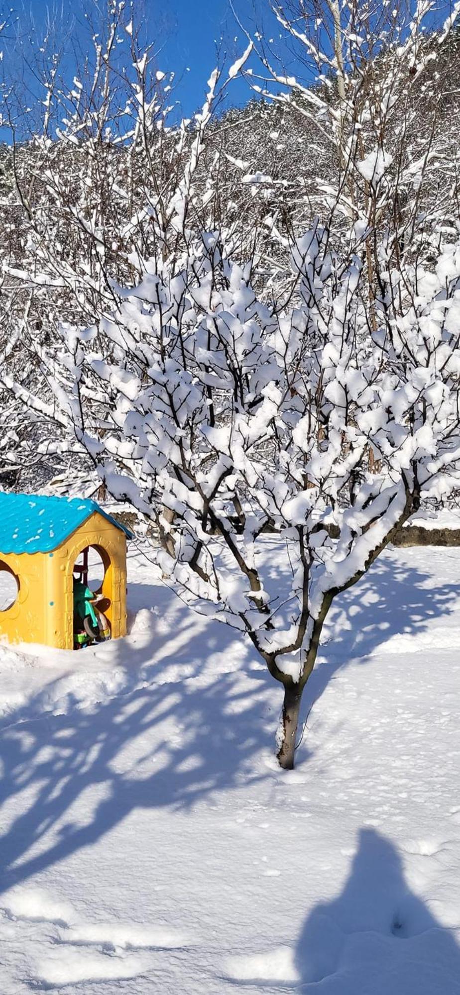 Casa Carbunaru Tîrgu Ocna Exteriör bild