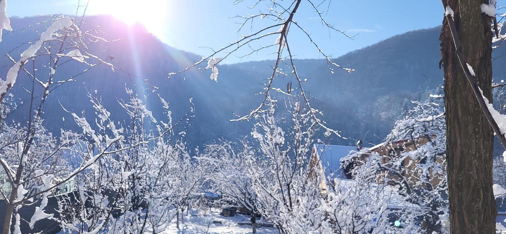 Casa Carbunaru Tîrgu Ocna Exteriör bild