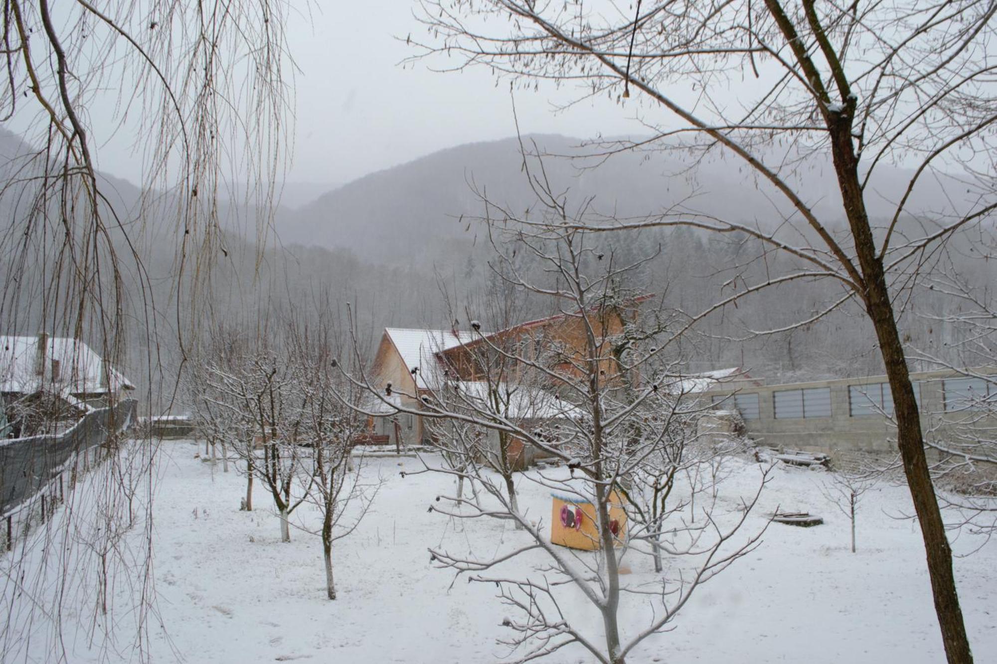 Casa Carbunaru Tîrgu Ocna Exteriör bild