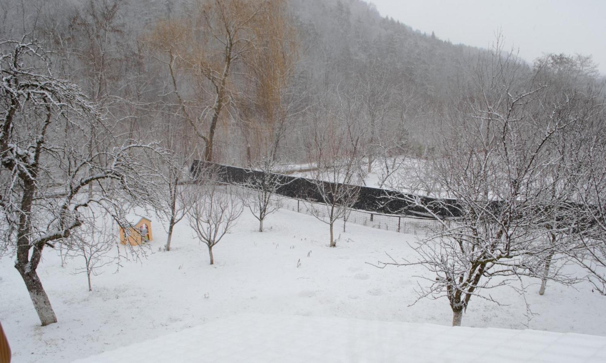 Casa Carbunaru Tîrgu Ocna Exteriör bild