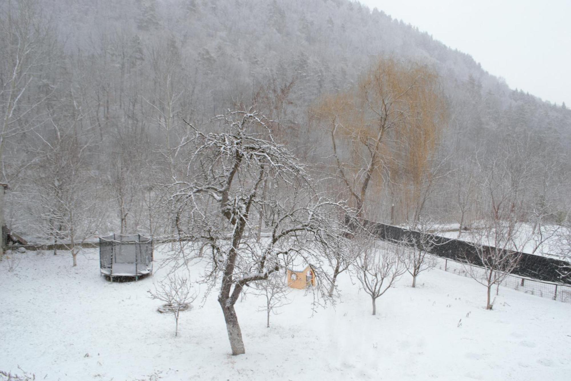 Casa Carbunaru Tîrgu Ocna Exteriör bild